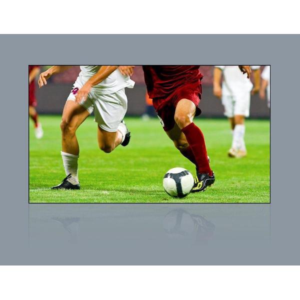 Ambient Light Rejecting Scherm voor ultra short throw projector