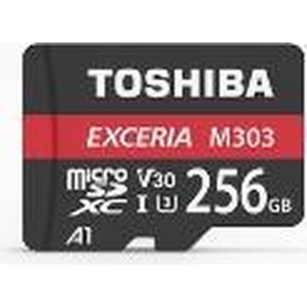 Toshiba Exceria M303 256GB flashgeheugen MicroSDXC UHS-I