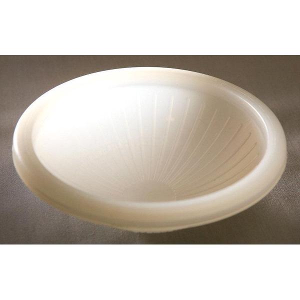 Gary Fong Lightsphere inverted dome