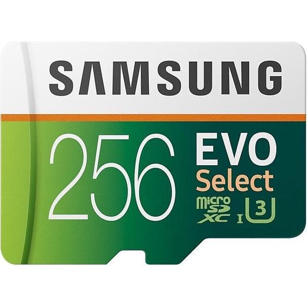 Samsung EVO Select flashgeheugen 256 GB MicroSDXC Klasse 10 UHS-I