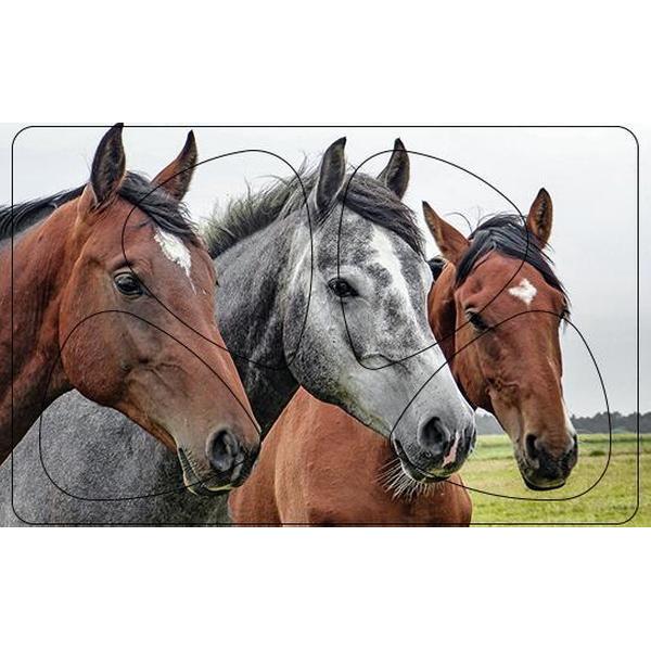 Plectrum Pasje - Paarden