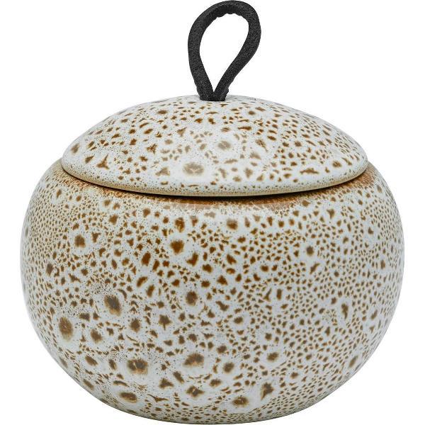 Aquanova Beautybox UGO Ginger-299