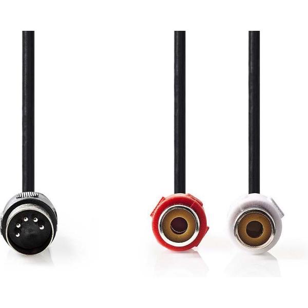 Nedis Adapter kabel DIN 5pins mannelijk naar Tulp stereo 2RCA vrouwelijk - 0,20 meter