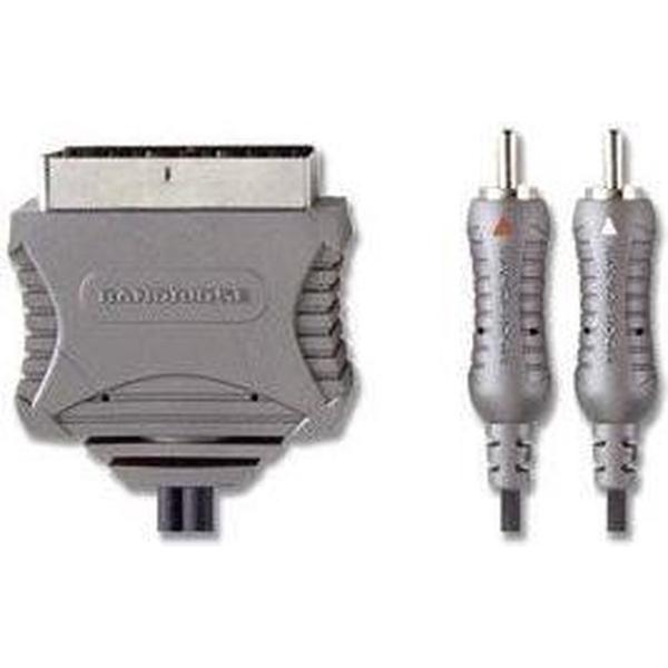 Bandridge VL7582 video kabel adapter 1,5 m SCART (21-pin) 2 x RCA Grijs