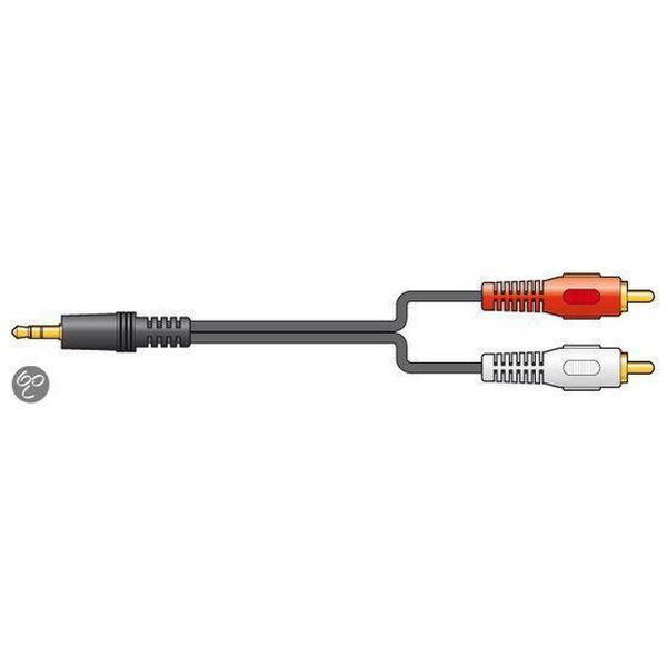Audiokabel: 2x RCA / Tulp - 1x 3.5mm Jack 1.5m