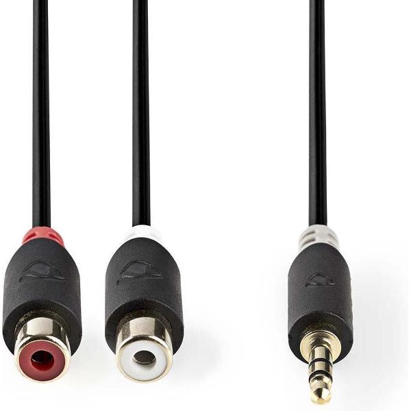 Nedis 3,5mm Jack (m) - Tulp (v) stereo audio adapter kabel - 0,20 meter