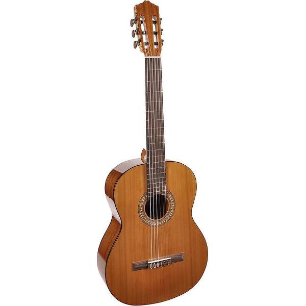 Klassieke gitaar Salvador Cortez CC-22 Solid Top Artist Series
