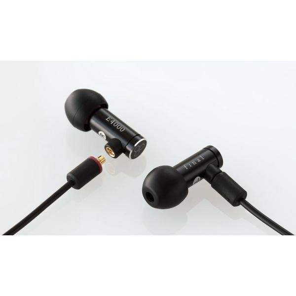 Final E4000 In Ear Oordopjes incl. Opbergcase - Hifi Kwaliteit
