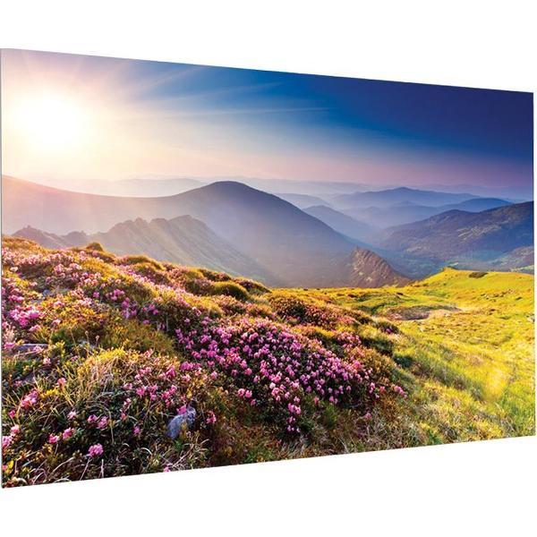 Milestone Projecta FullVision 163x260 HD Progressive 1.1 Co