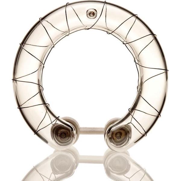 Elinchrom Flitsbuis D-Lite 2/4 en Ranger Quadra S-Head