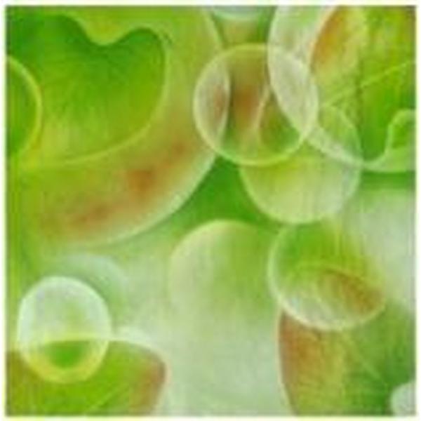 walimex pro achtergrond stof Fresh, 3x6m