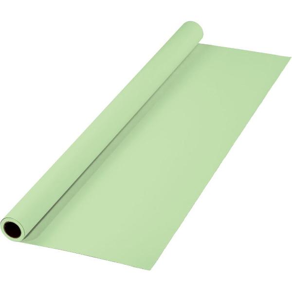 Hama Achtergrond appelgroen 2.75m x 11m