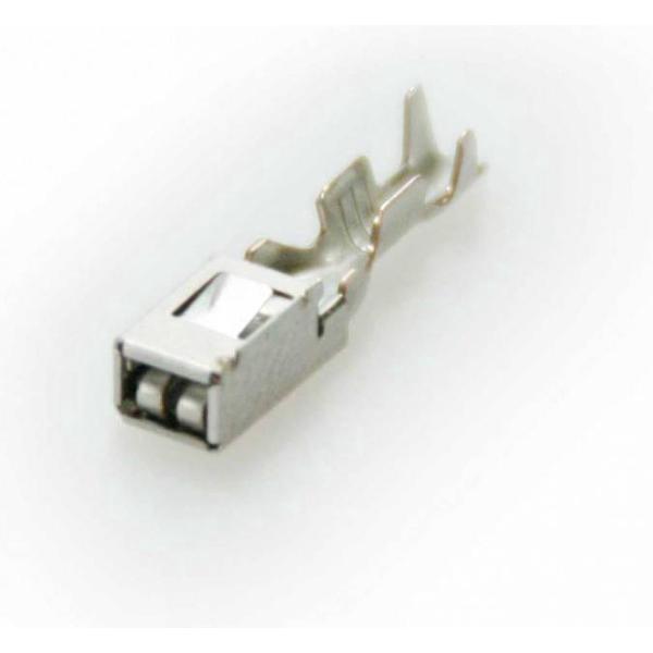 MPQ - Terminal - 50pc