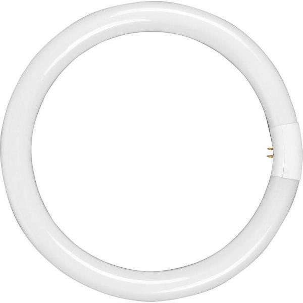 Walimex vervangingslamp voor ringlamp 75W