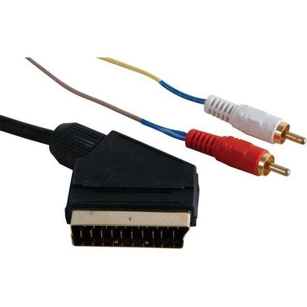 Audio/Video Kabel - Scart Mannelijk Naar 2 X Rca Mannelijk, 3M