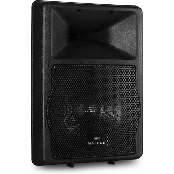 Malone PW-EV-12A 550W Zwart luidspreker